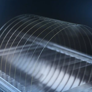 Гласс Вафер